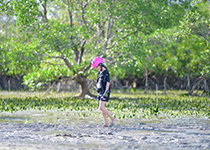 ATV Phuket : Mangrove Forest