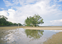 ATV Phuket : The hidden beach of Phuket