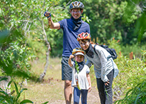 ATV Phuket : Insect eating plant