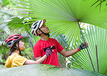 ATV Phuket : Palm Lang Khao